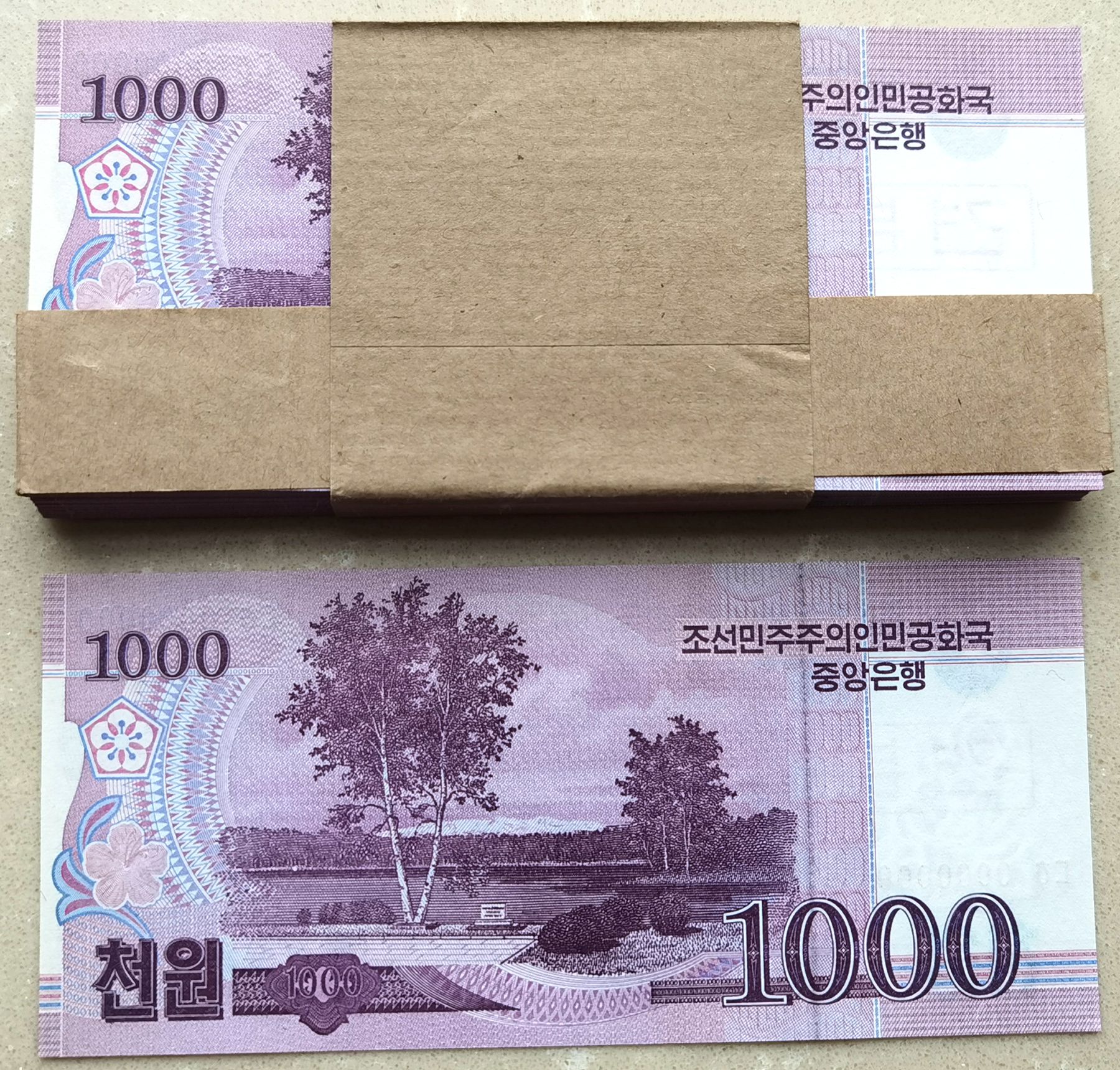 L1323, Bundle 100 Pcs, S Korea 2008 Specimen 1000 Won Banknote, Series 0000000