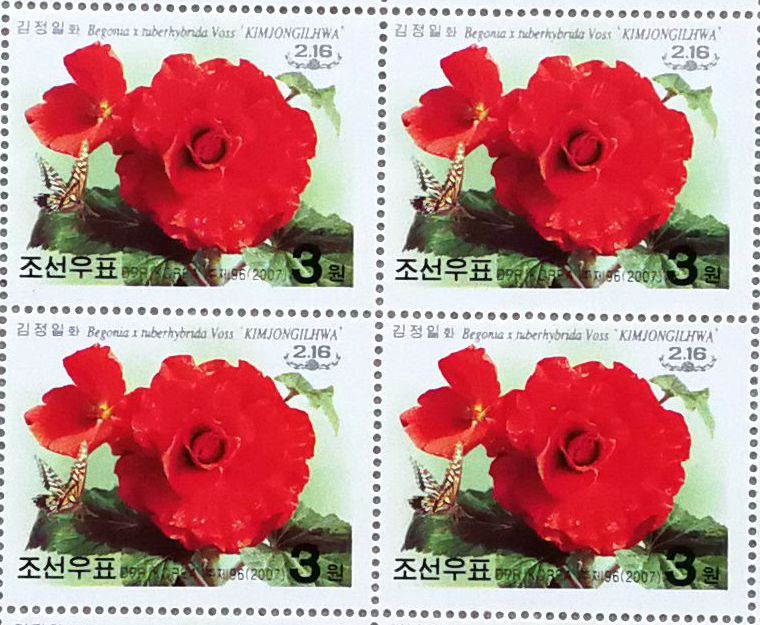 L4464, Korea "Kimjongilia Flower, Birthday of Kim", Full Sheet of 42 Pcs Stamps, 2007 - Click Image to Close