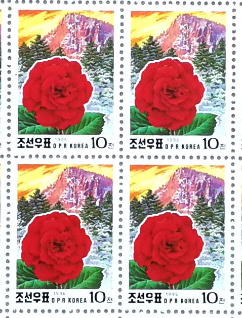 L4466, Korea "Kimjongilia Flower, Birthday of Kim", Full Sheet of 78 Pcs Stamps, 1996 - Click Image to Close