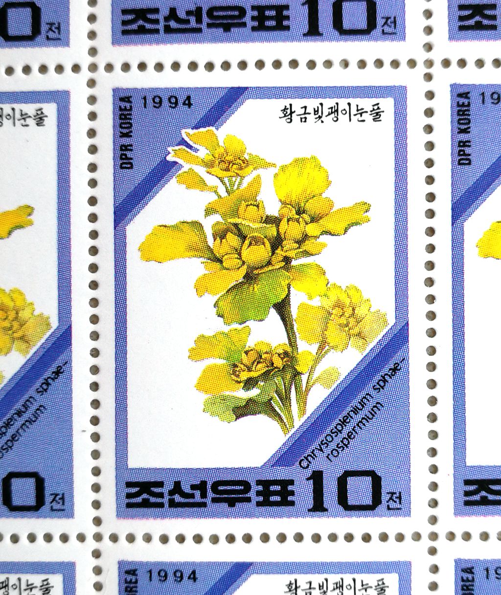 L4598, Korea "Flowers in Mt. Paektu", Full Sheet of 25 Pcs Stamps, 1994