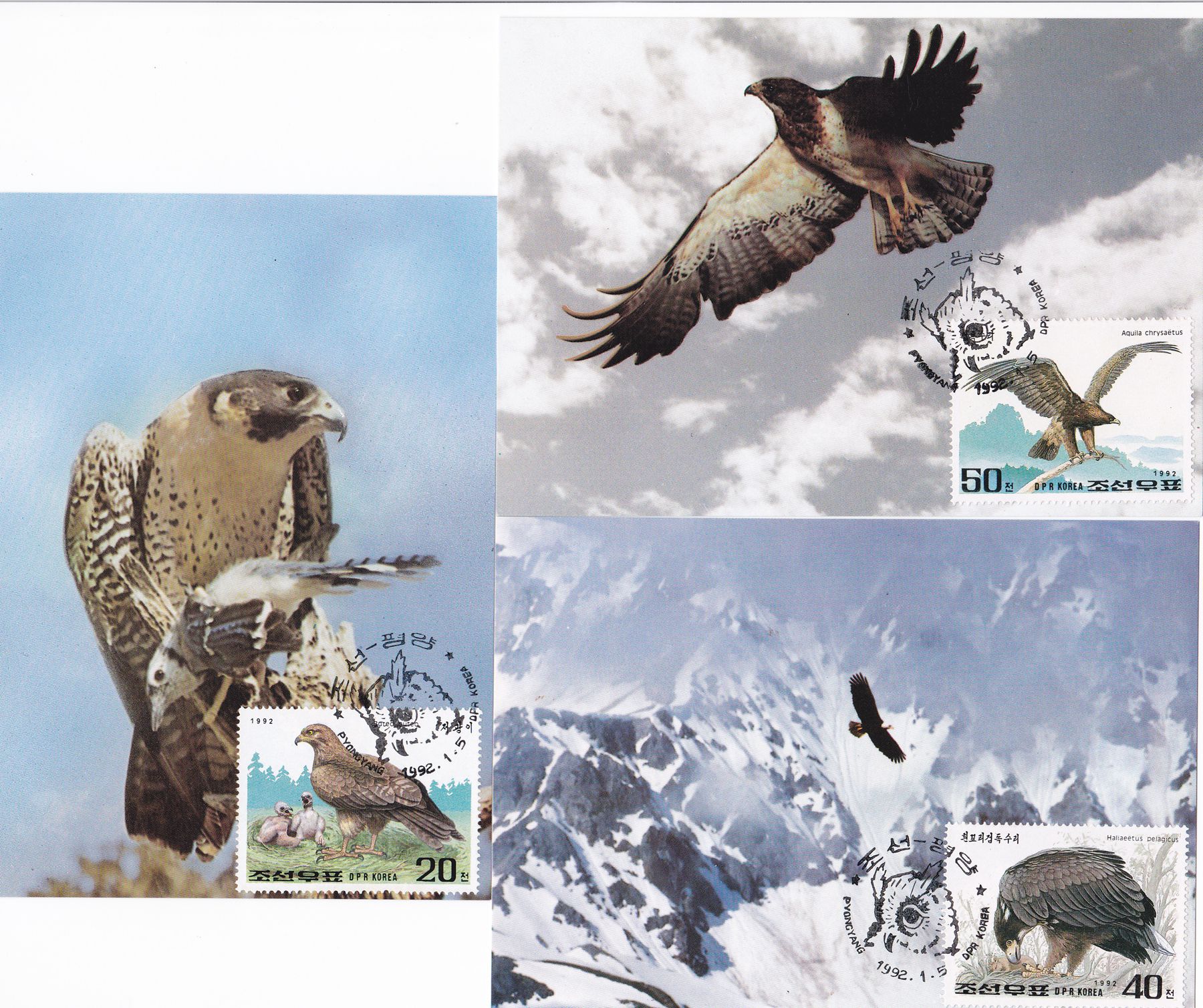 L9386, Korea Maxicard 5 Pcs, "Raptors, Owl", 1992 - Click Image to Close