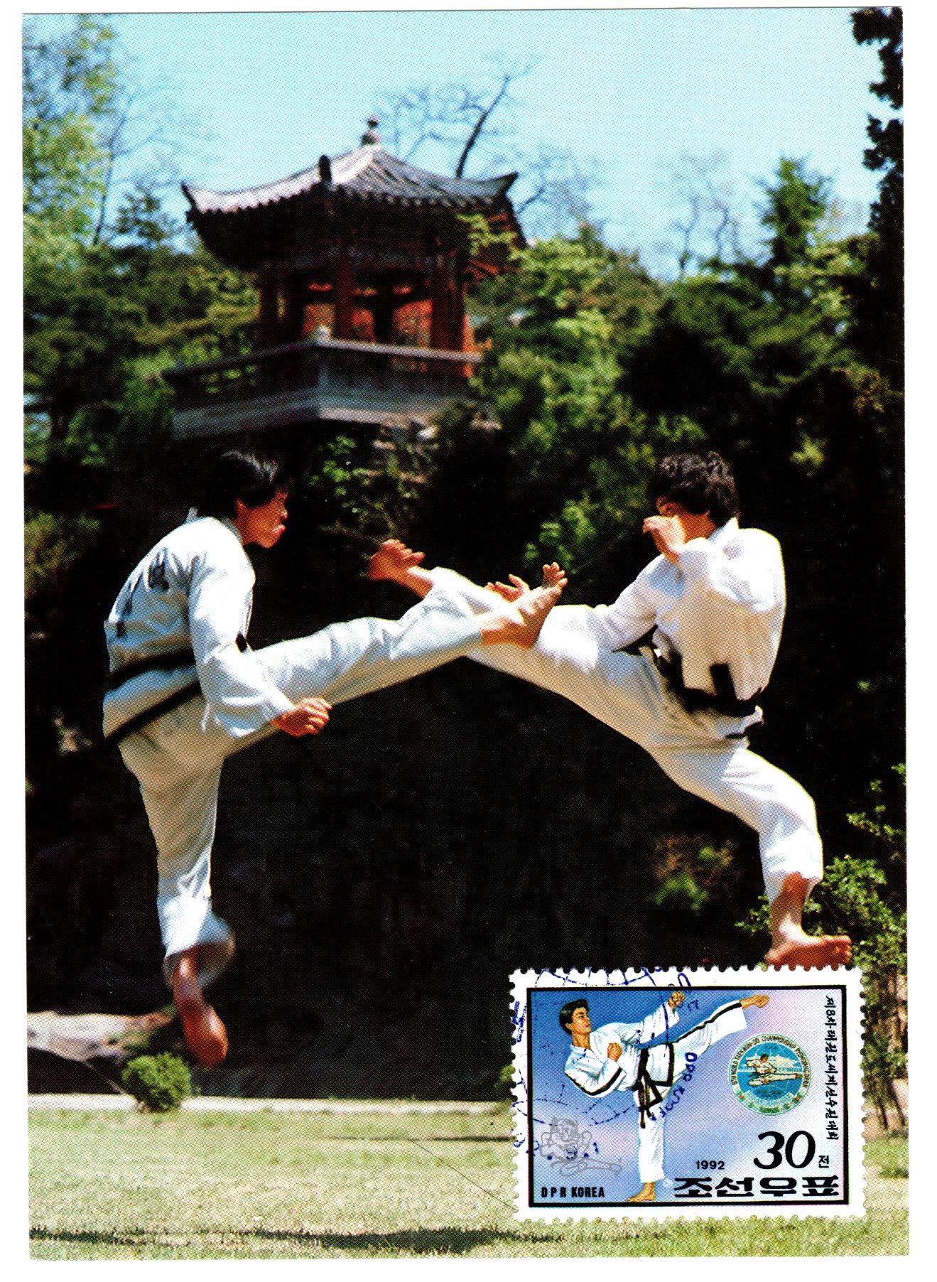 L9403, Korea Maxicard "Taekwondo, Side Kick", 1992