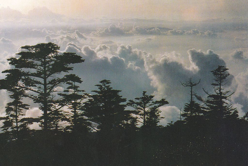 YP7(B) Landscapes of Sichuan 1989 - Click Image to Close